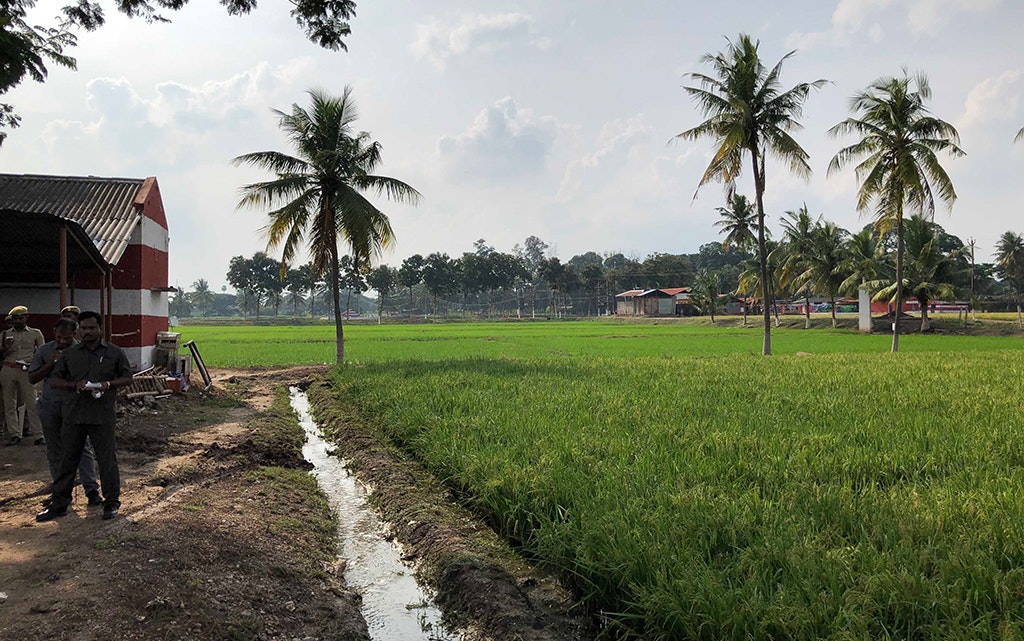 Visit to the rice farm at the University of Tamil Nadu (RIICE project)