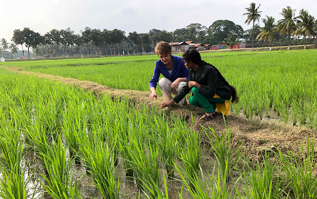 Visite d'une ferme rizicole de l’Université de Tamil Nadu (projet RIICE)