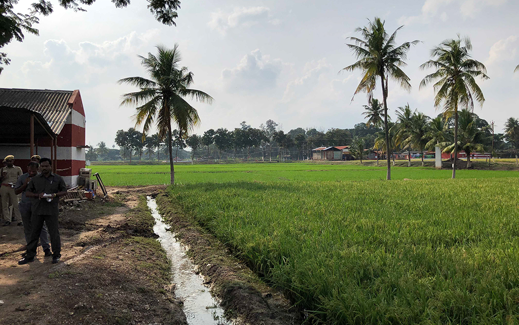 Visite d'une ferme rizicole de l’Université de Tamil Nadu (projet RIICE)