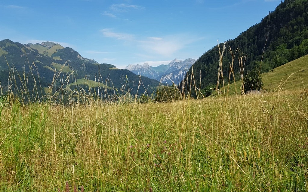 Parco naturale regionale Gruyère Pays-d'Enhaut
